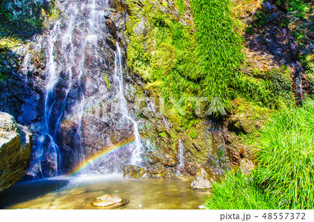 清水の滝　【佐賀県小城市】 48557372