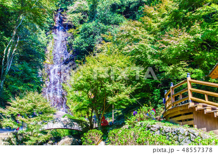 清水の滝　【佐賀県小城市】 48557378