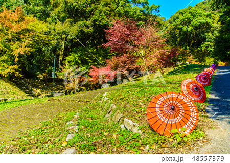 清水の滝 【佐賀県小城市】 清水の滝 【佐賀県小城市】 48557379