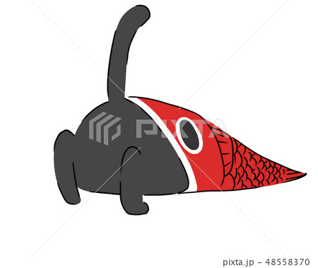 こどもの日の猫 48558370