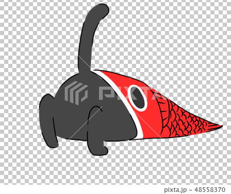 こどもの日の猫 48558370