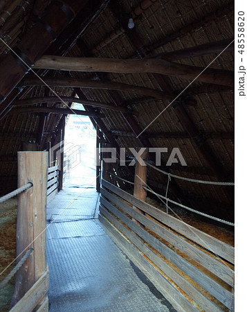 明礬小屋_大分 48558620