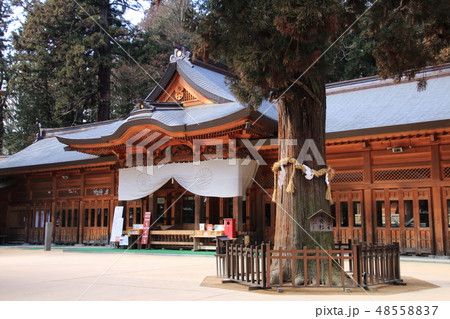 穂高神社(長野県安曇野市) 穂高神社(長野県安曇野市) 48558837
