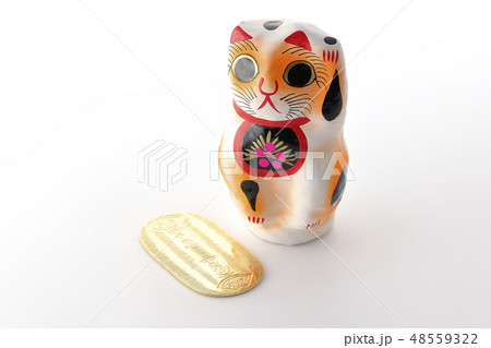 猫に小判 48559322