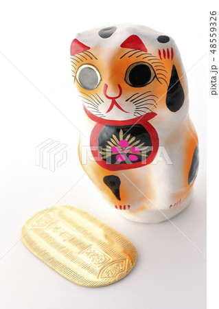 猫に小判 48559326