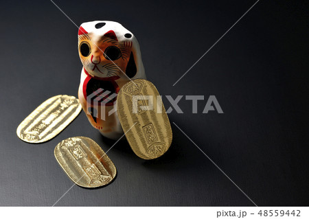 猫に小判 48559442