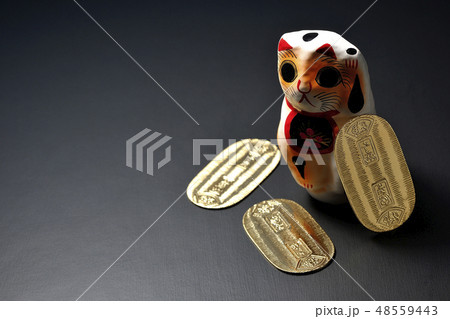猫に小判 猫に小判 48559443