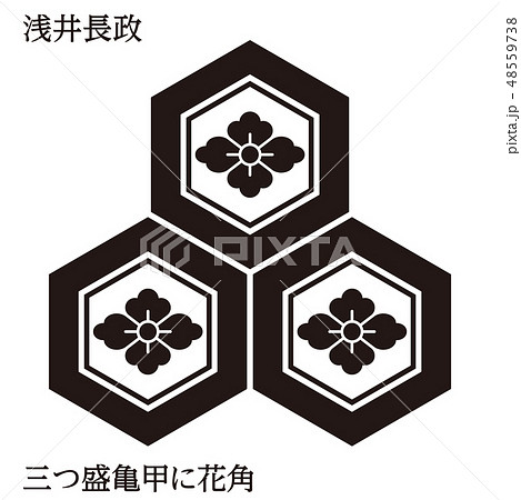 戦国時代の武将の家紋 戦国大名 浅井長政 三つ盛亀甲に花角 モノクロ ベクターデータのイラスト素材