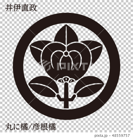 戦国武将　家紋　額縁　丸に橘　井伊橘　天明鋳物 家紋 額縁 丸に橘 井伊橘 天明鋳物 家紋額縁丸に橘井伊橘