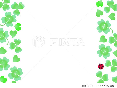クローバー シロツメクサ てんとう虫 フレーム クローバー シロツメクサ てんとう虫 フレーム 48559760