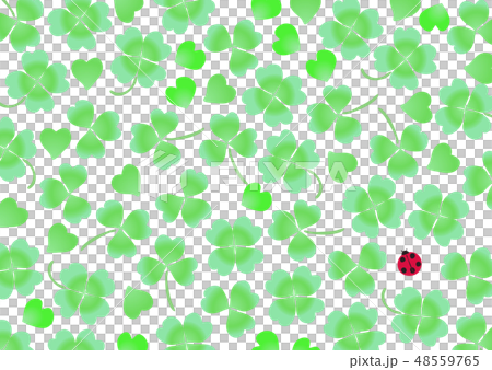 Clover white clover white ladybug wallpaper 48559765