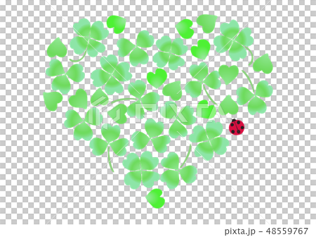 Clover white clover white ladybird heart 48559767