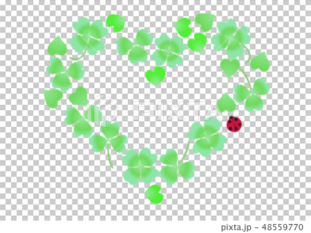 Clover white clover white ladybird heart 48559770