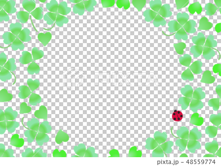 クローバー シロツメクサ てんとう虫 丸 クローバー シロツメクサ てんとう虫 丸 48559774