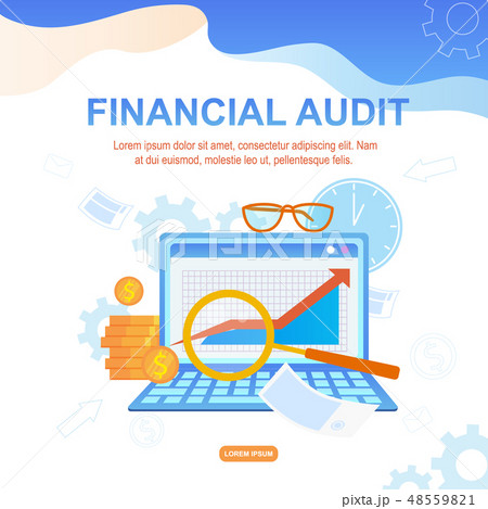 Financial Audit Flat Vector Cartoon Illustration 48559821