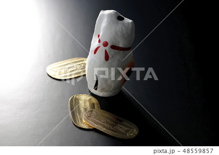 猫と小判 48559857