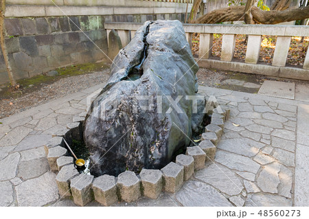 富岡八幡宮自然石の手水舎 富岡八幡宮自然石の手水舎 48560273