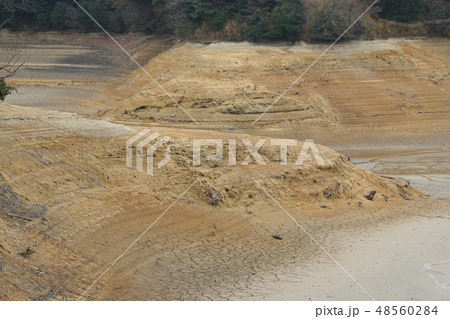 知多市佐布里池「池の水ぜんぶ抜く大作戦」 48560284