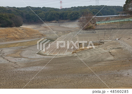 知多市佐布里池「池の水ぜんぶ抜く大作戦」 知多市佐布里池「池の水ぜんぶ抜く大作戦」 48560285