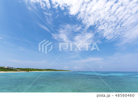 波照間島　ニシ浜　波照間ブルー 48560460