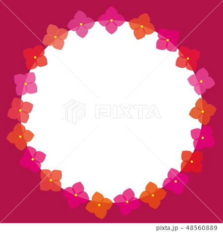 花　フレーム　ホワイトスペース 48560889