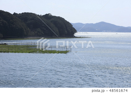 伊勢志摩-海苔粗朶-英虞湾-あおさのり-養殖 48561674