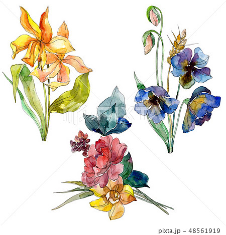 Wildflower bouquet floral botanical flowers. Watercolor background set. Isolated wildflower 48561919