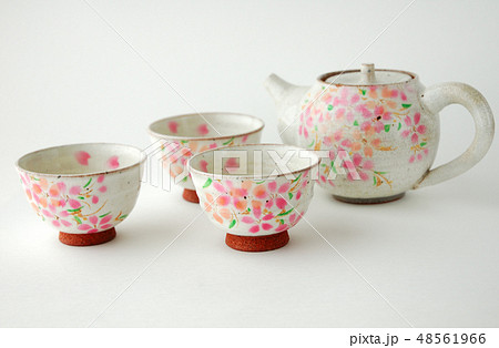 桜絵柄の急須と湯呑 48561966