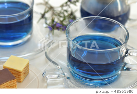 バタフライピー・ハーブティー・健康食品・青色のお茶 48561980