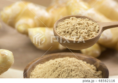 生姜粉末と生姜 48562116