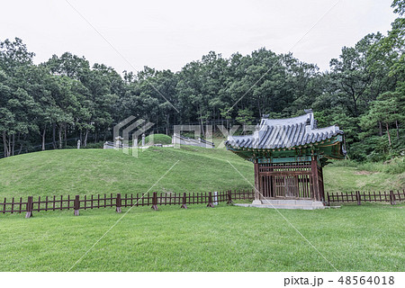 漣川郡 京畿道 キョンギド 48564018