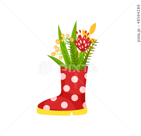 Cute flowers and green herbs in rubber polka-dot boot. Spring bouquet. Natural composition. Flat 48564289