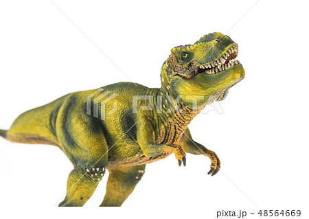 恐竜　ティラノサウルス 48564669
