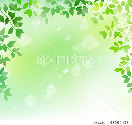 木の葉の新緑イメージ 背景素材のイラスト素材