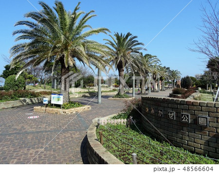 横須賀うみかぜ公園 48566604
