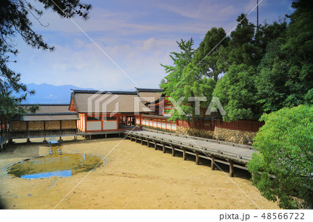 sacred Shinto shrine in Japan. sacred Shinto shrine in Japan. 48566722