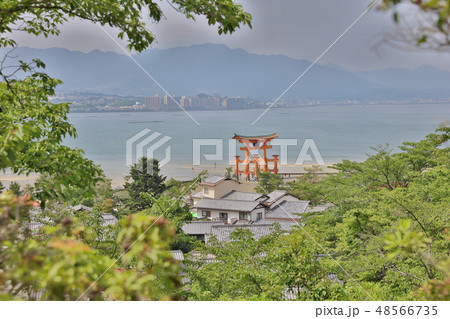 Itsukushima Shrine roof top for backgroud Itsukushima Shrine roof top for backgroud 48566735