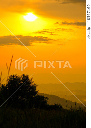 夕暮れ(種山高原) 夕暮れ(種山高原) 48567160