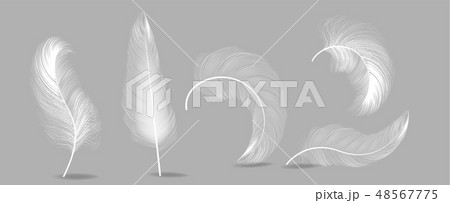 White Feathers Set Vector. Insomnia, Healthy Sleep, Dreams Concept. Isolated Illustration 48567775
