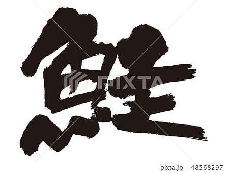 鮭 さけ 筆文字 鮭 さけ 筆文字 48568297