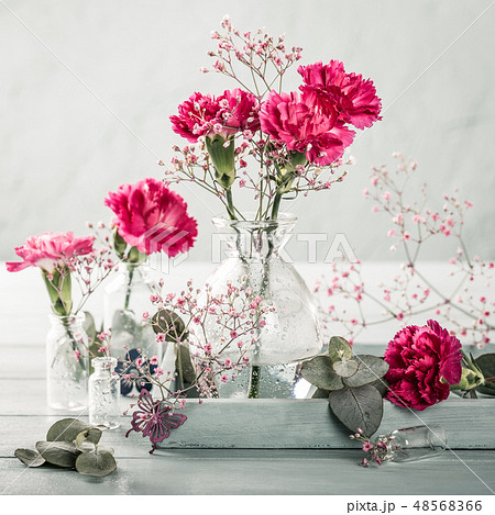 Bouquet of pink carnation on light turquoise wooden background 48568366