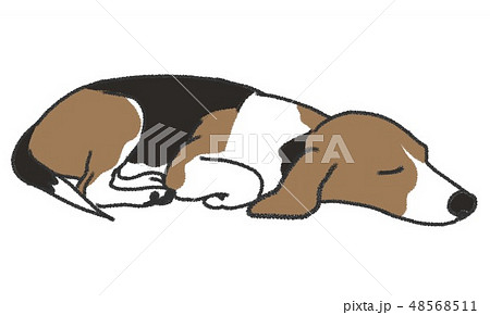 寝てる犬 ビーグル のイラストのイラスト素材 48568511 Pixta