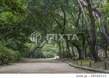 昌慶宮 鍾路区 ソウル 48568523