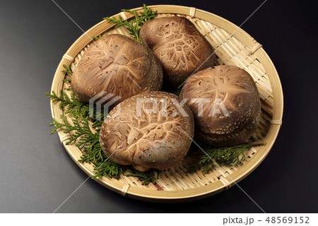 椎茸 椎茸 48569152