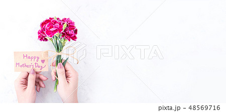 花 フラワー お花 48569716