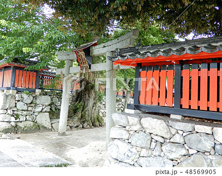 大津　坂本　大将軍神社 48569905