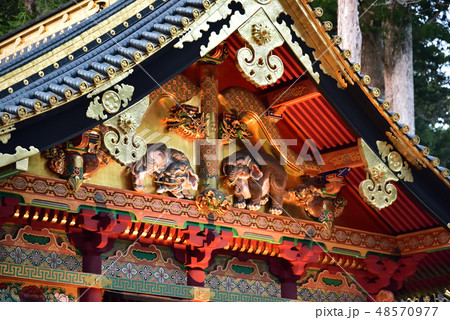 東照宮の想像の像 東照宮の想像の像 48570977