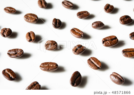 コーヒー豆 コーヒー豆 48571866