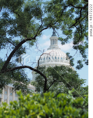 ワシントンD.C. アメリカ合衆国議会議事堂 / United States Capitol 48572222