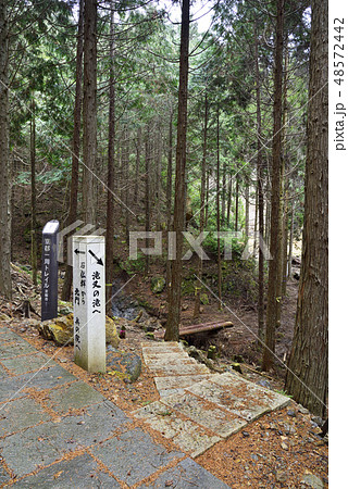 滝又の滝への分岐点 京都府京都市右京区 の写真素材